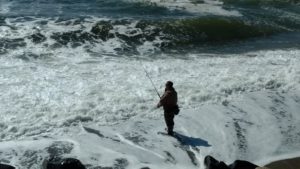 Angler in Pacifica